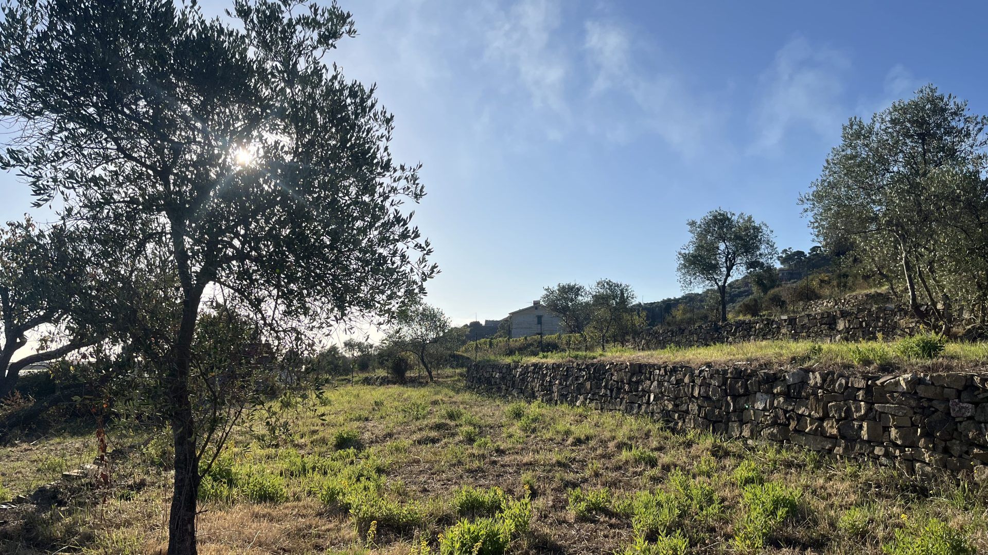 Terreno con progetto approvato per Villa Unifamiliare